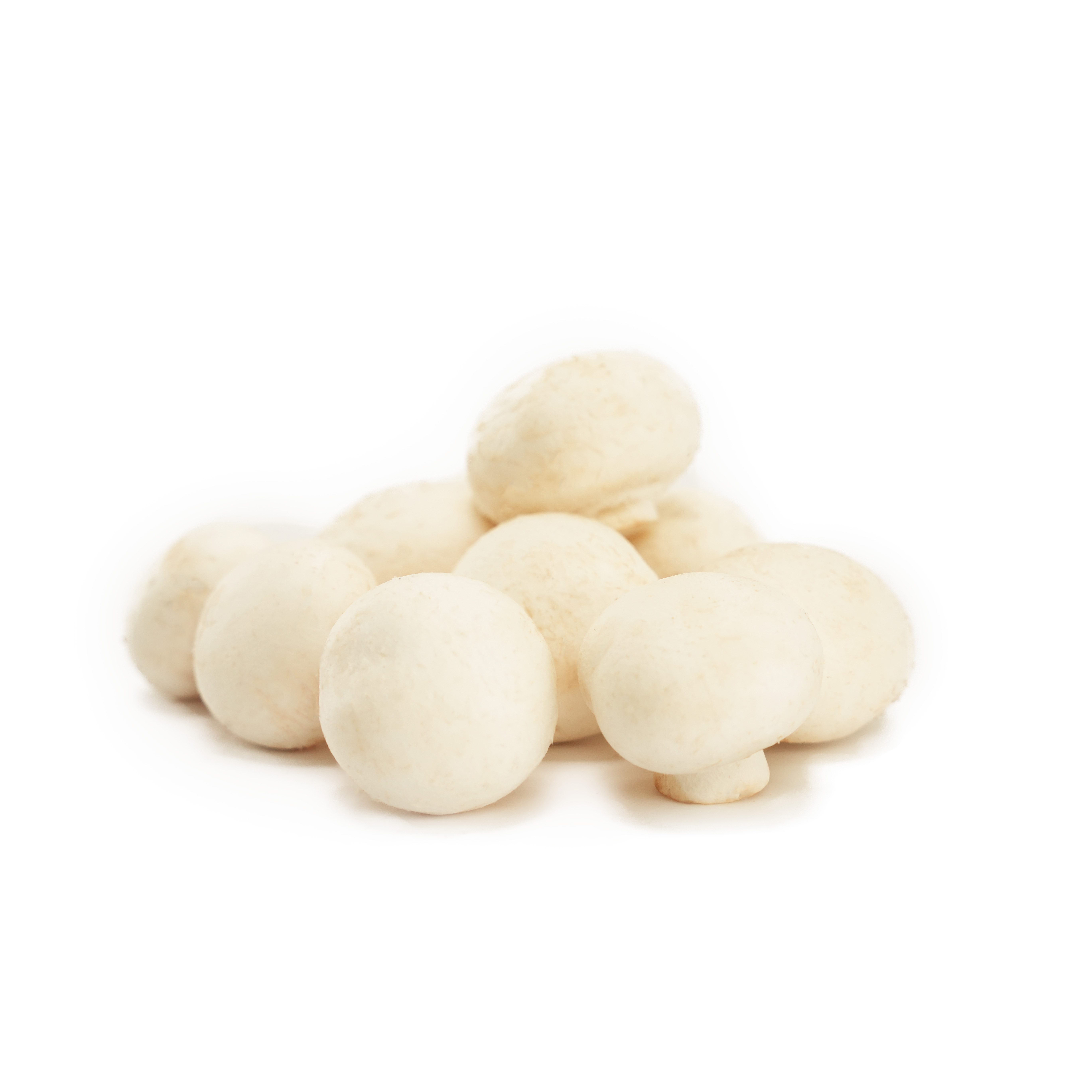 Champinjonskott Sverige