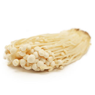 Svamp Enoki