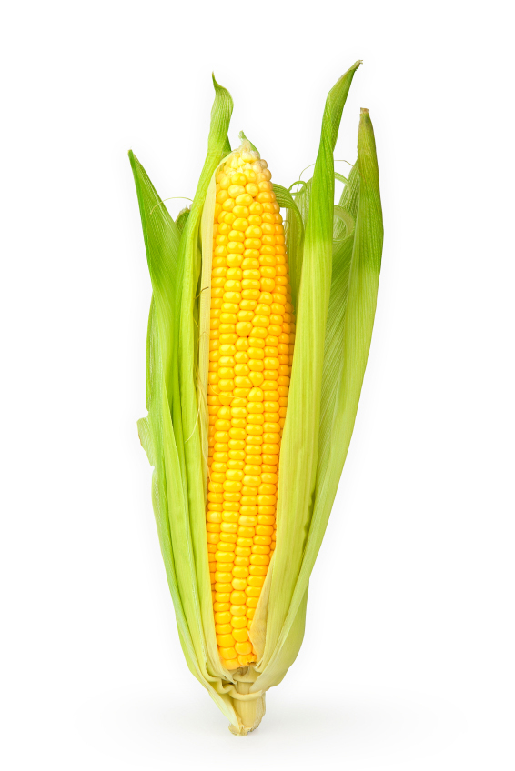 Majskolv Färsk 2-Pack