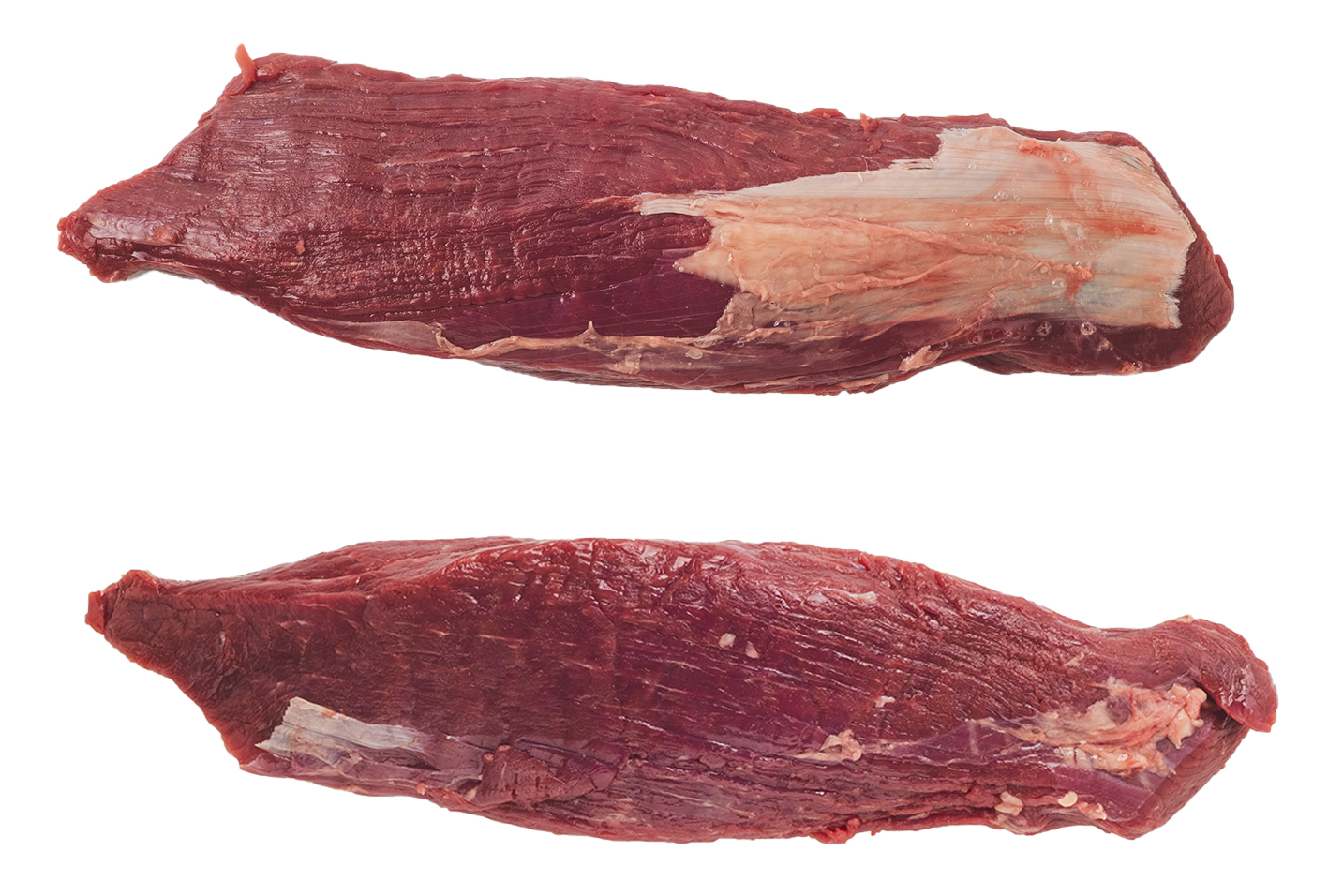 Lilla Bogfilén Mörad Sverige