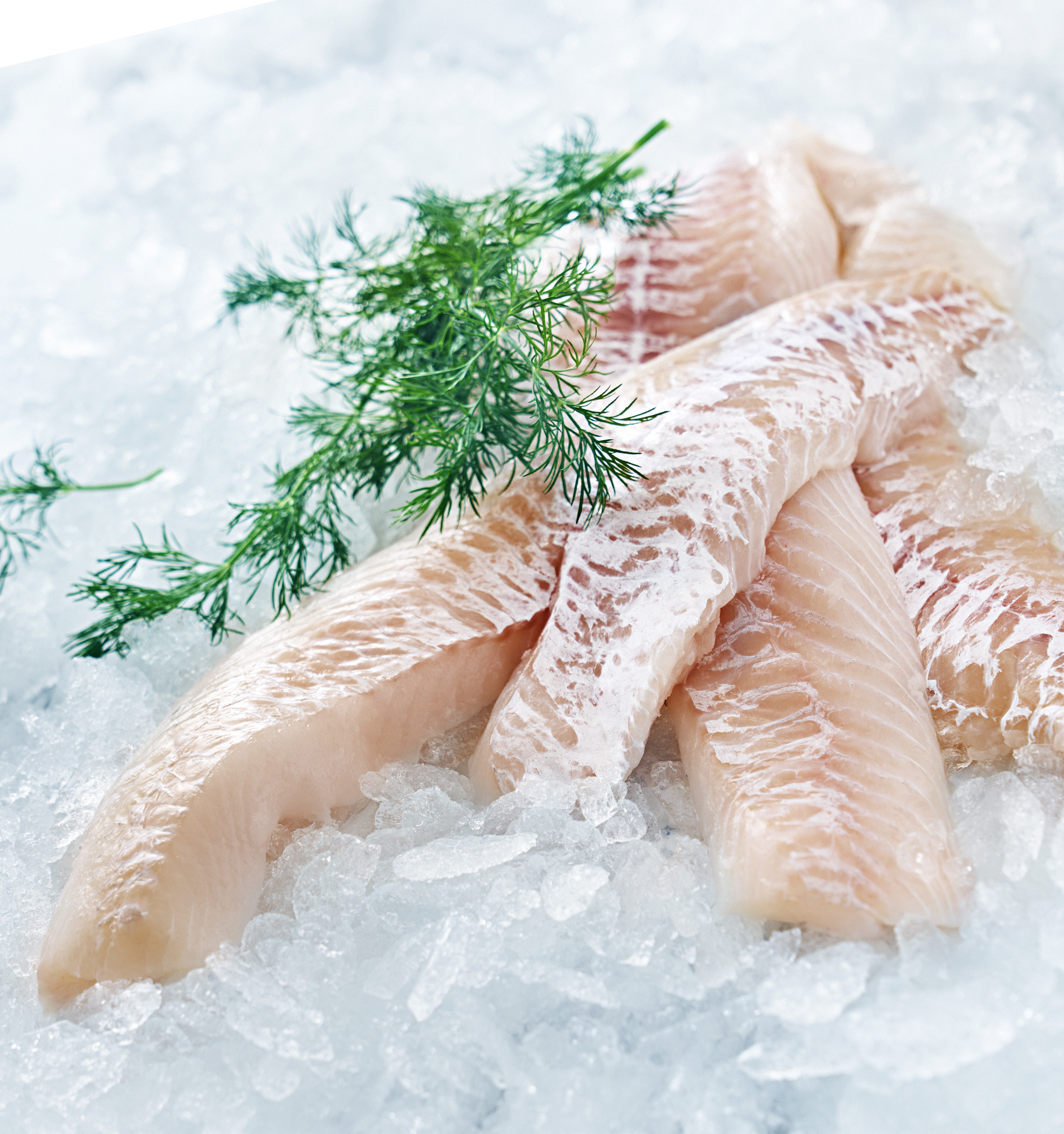 Koljafilé Handbyxad 200-300g MSC