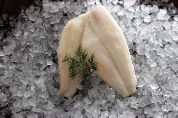 Stillahavsspättafilé 70-130g MSC