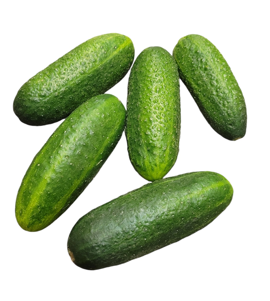 Västeråsgurka Sverige