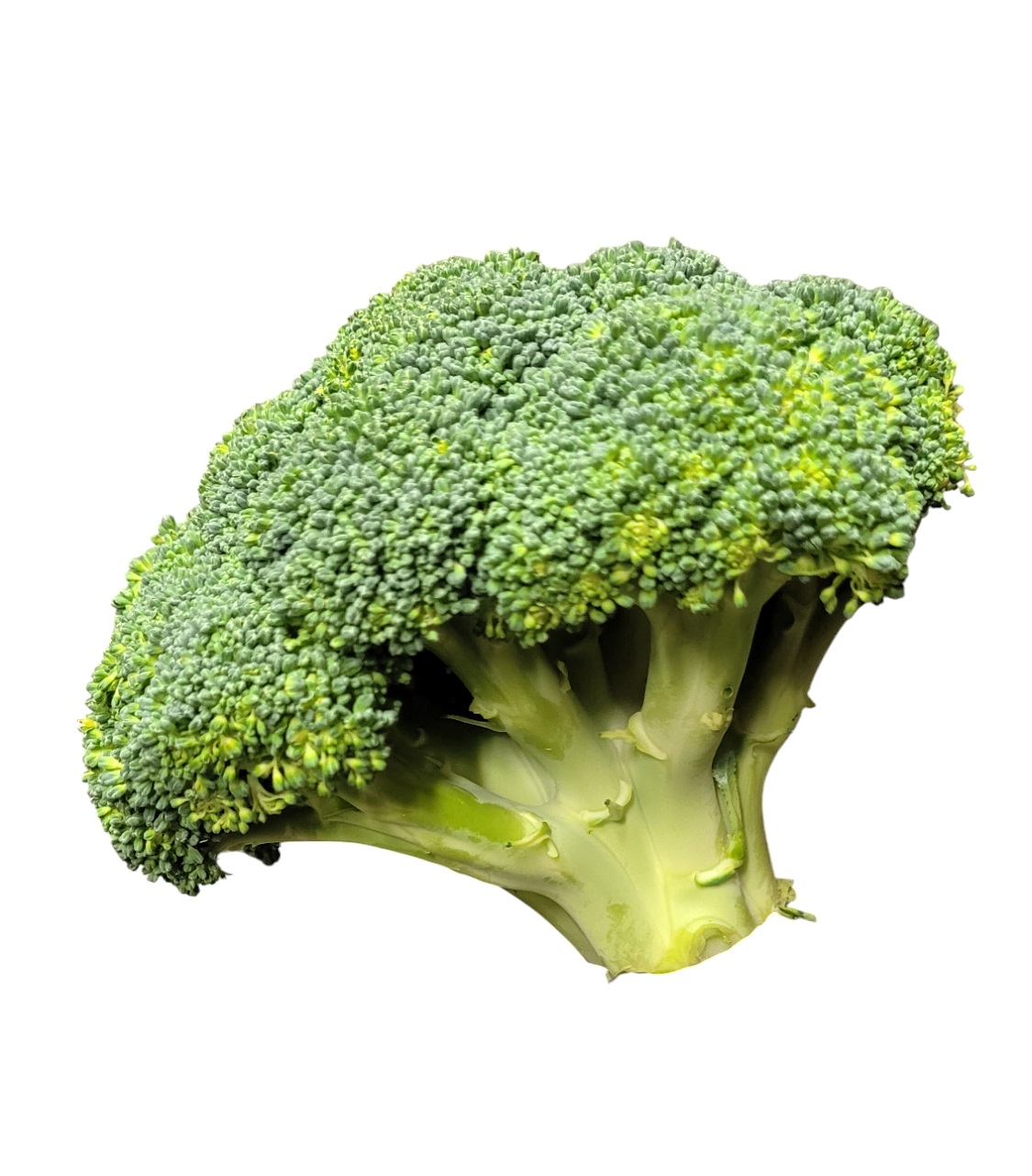 Broccolikrona