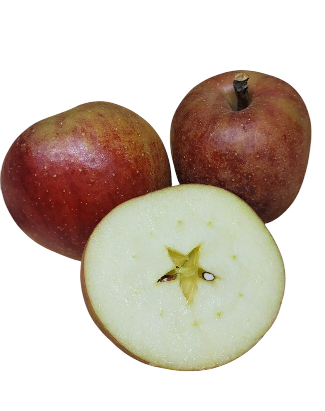 Äpple Belle de Boskoop Klass 1 Sverige