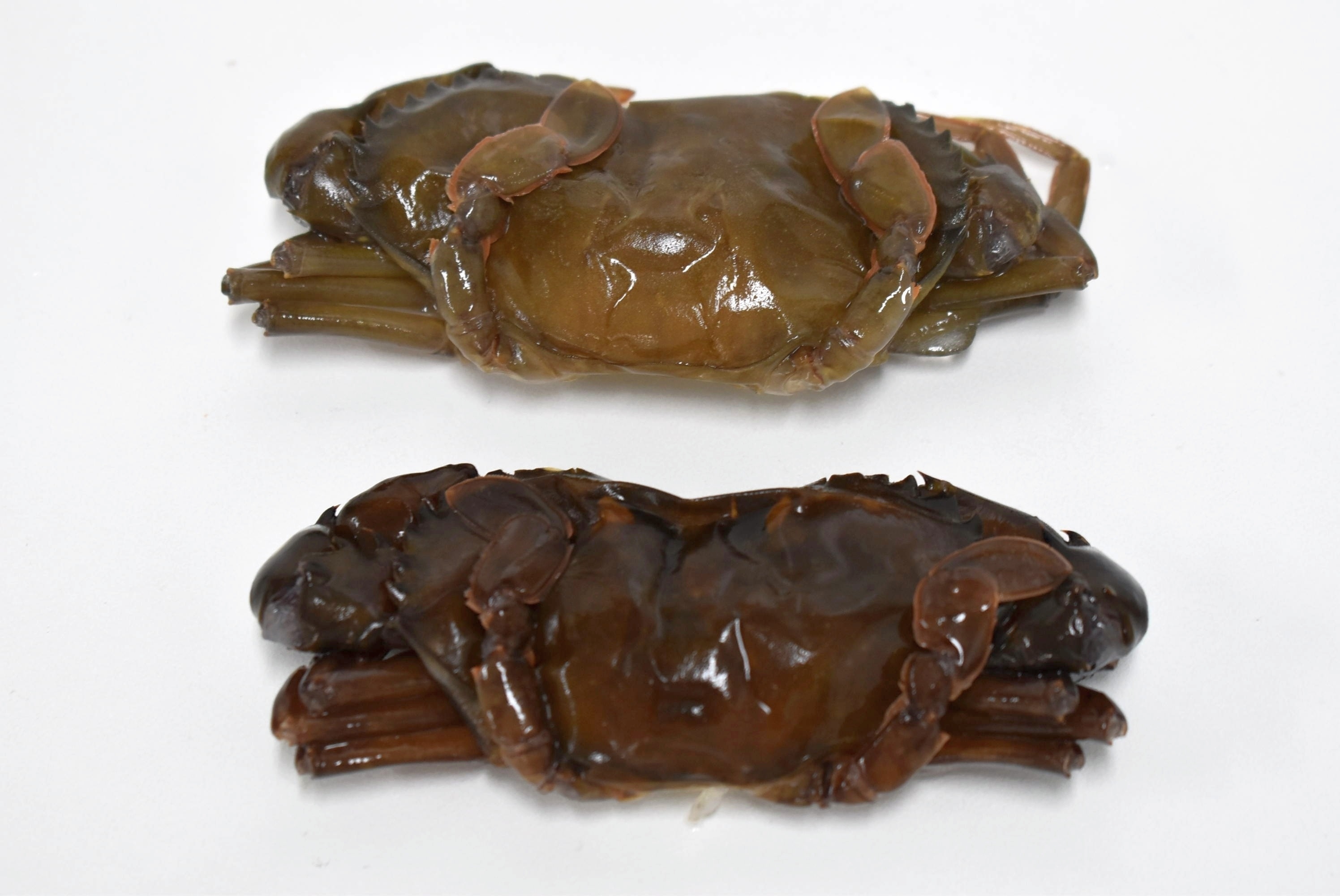 Soft Shell Crab Rå Hel