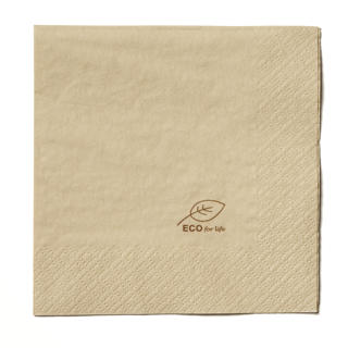 Servett 2-lager 24x24cm Natur ECO