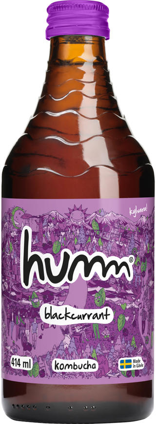 Kombucha Blackcurrant ENGL EKO
