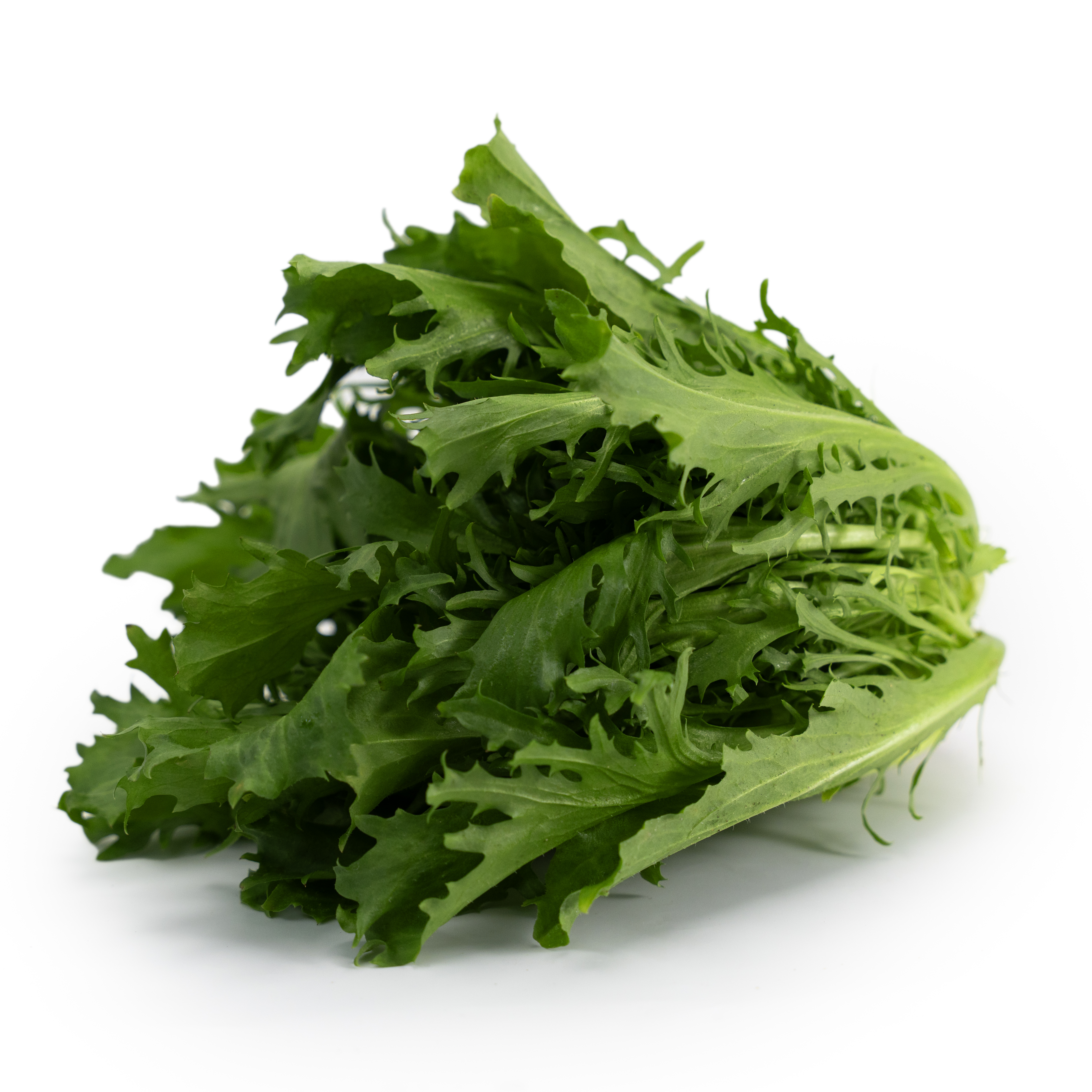 Sallat Frisee Grön Klass 1