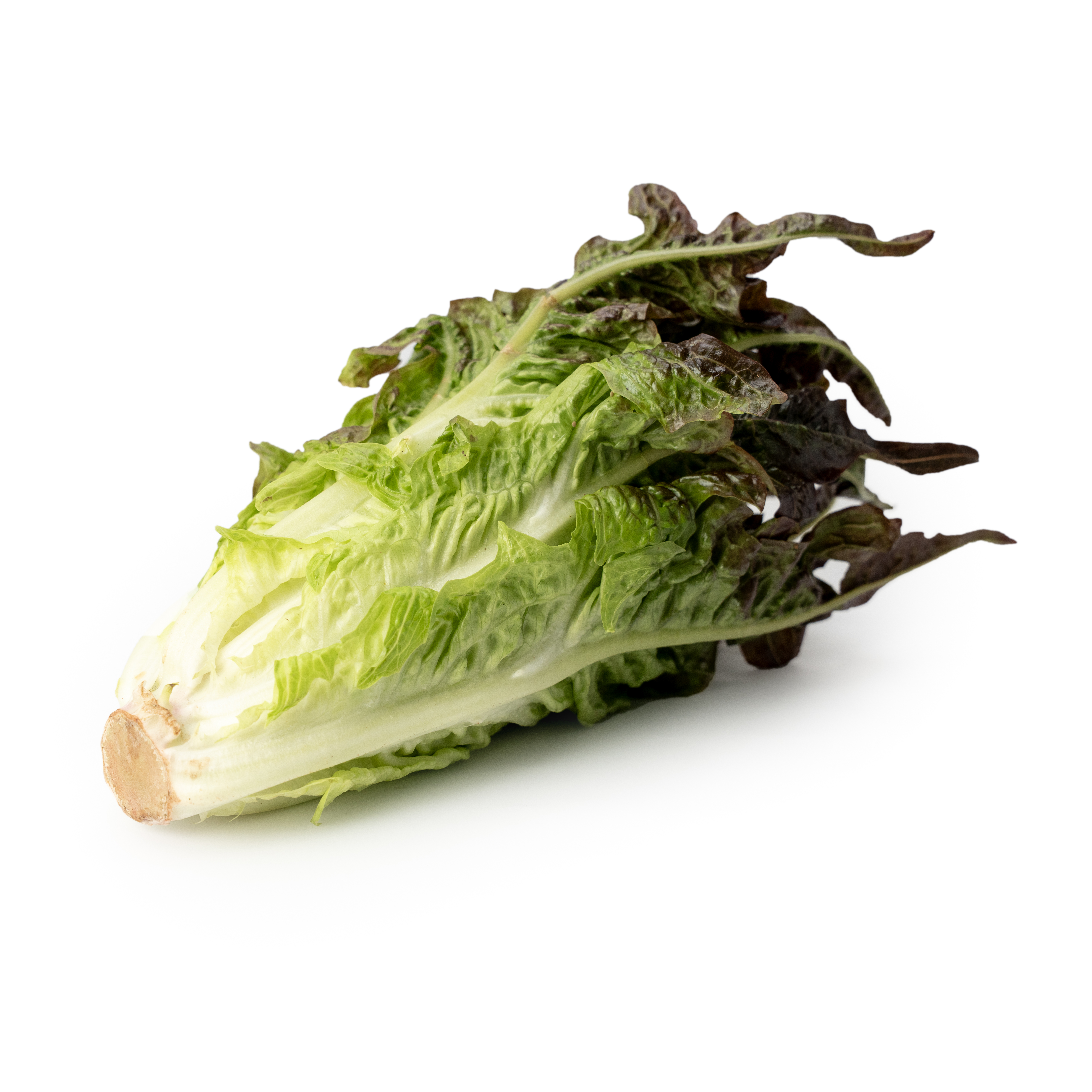 Sallat Caribu Klass 1