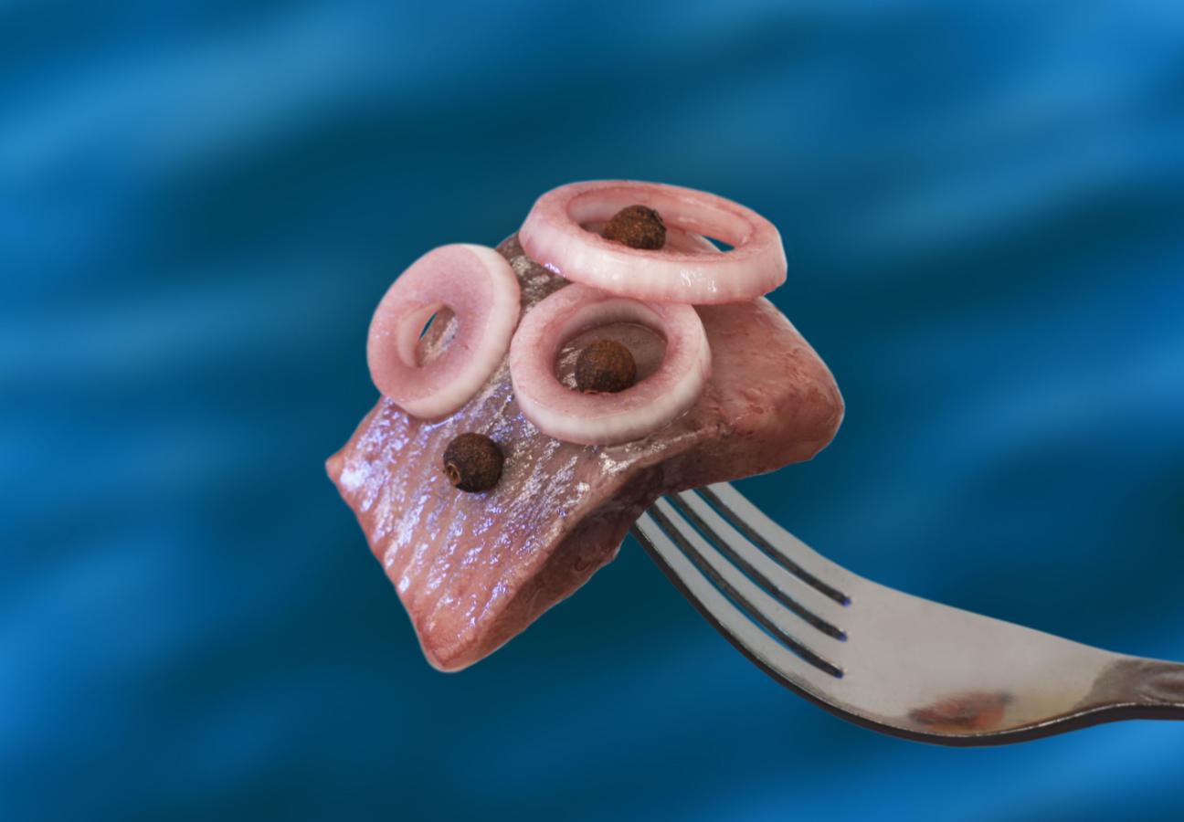 Fransk Löksill i Bit MSC