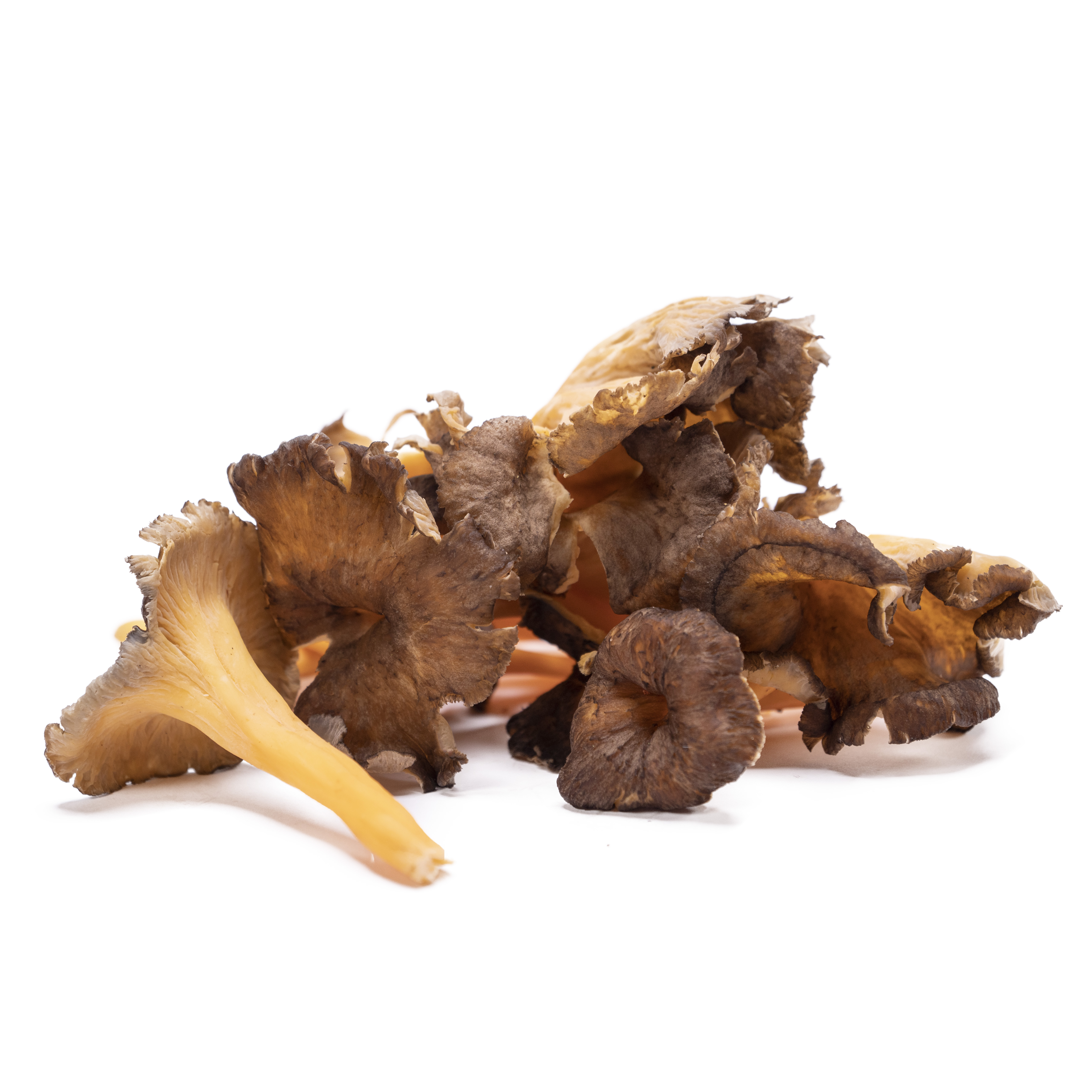 Trumpetsvamp Rödgul Sverige