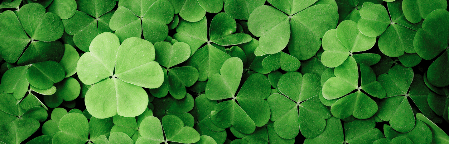 Vildplockat på din meny – trenden här för att stanna