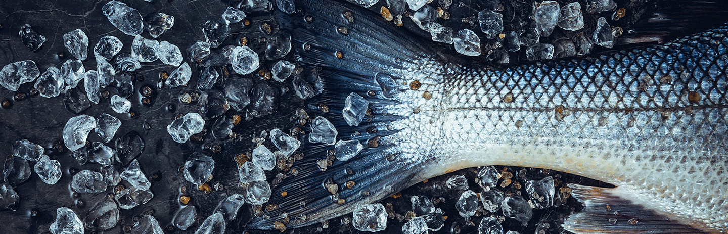 Guide: Miljömärkning inom fisk och skaldjur