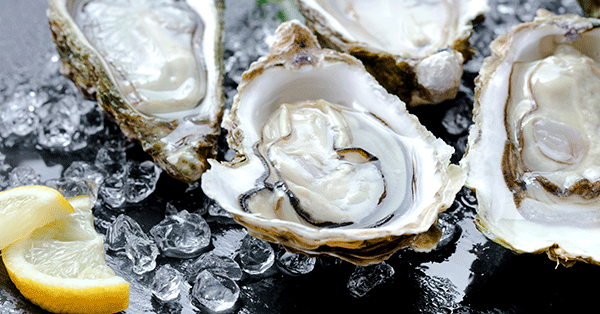 Så kallade gigasostron, japanska jätteostron, har blivit en eftertraktad råvara bland kockar och krögare. 