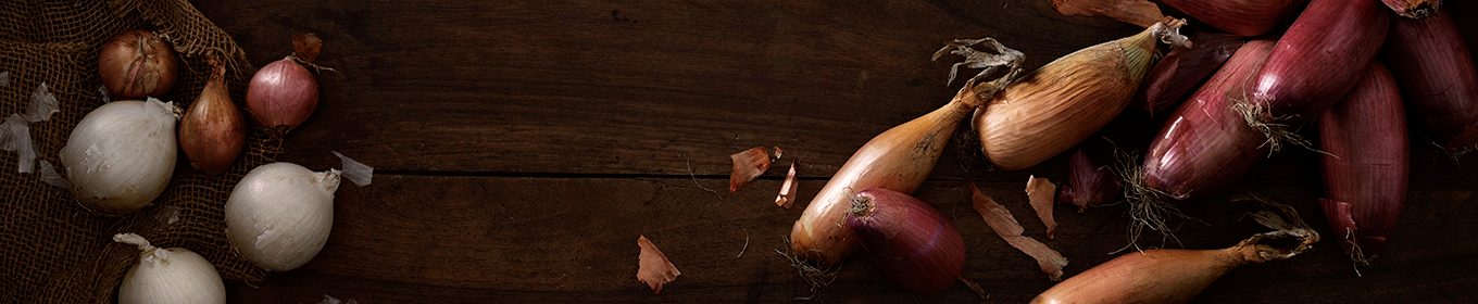 Guide: Lök - en smaksättare av rang