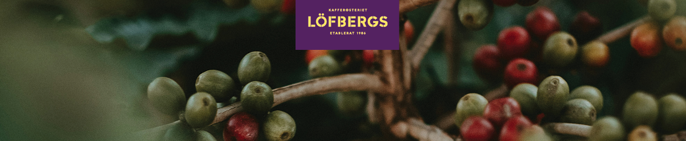 Löfbergs älskar offentliga affärer