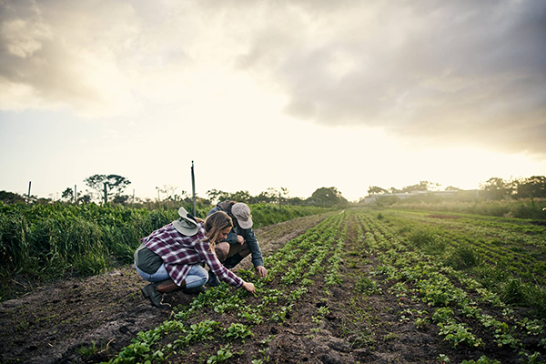 Färskvaruhallen Menigo samarbetar med noga utvalda  producenter av färskvaror. 