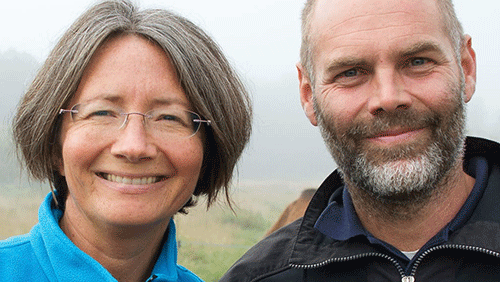 Vildplockat från Stora Juleboda gård