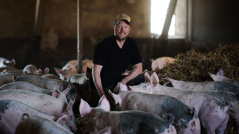 Djurens välmående i fokus på Rosersbergs gård