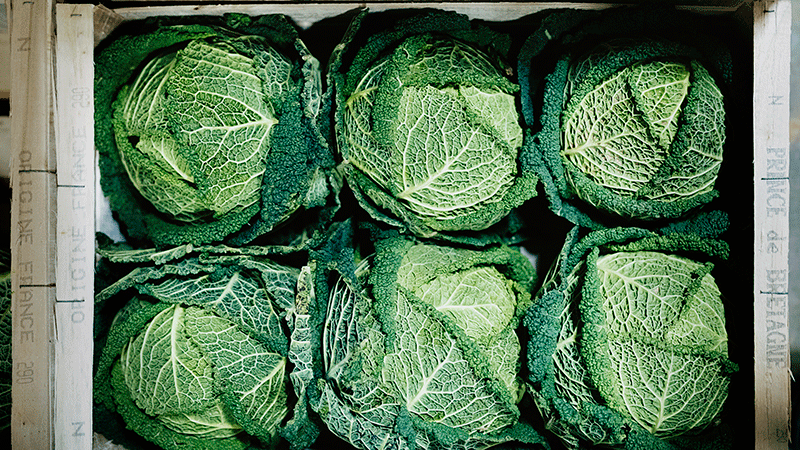 Optimal förvaring med nio temperaturzoner